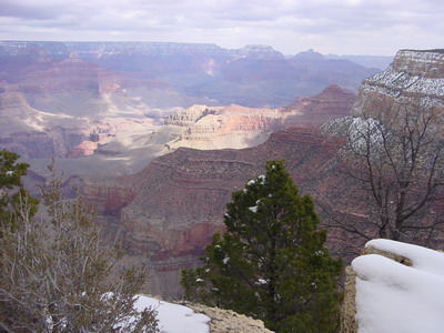 dsc01472a.jpg (26006 bytes)